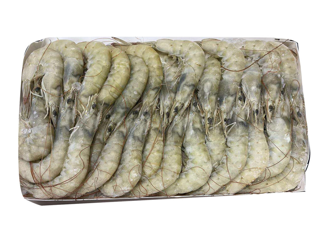 Frozen seafood – kailiantrading