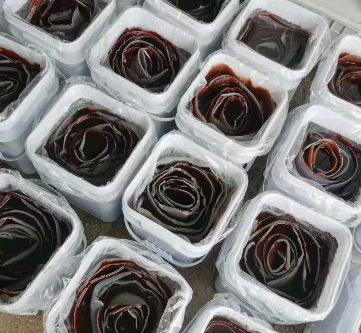 Jellyfish Skin  20LB